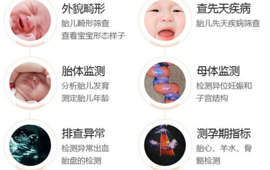 ����GE-E8S��ά�ʳ�����: